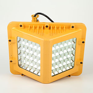 DGS45/127L矿用LED巷道灯