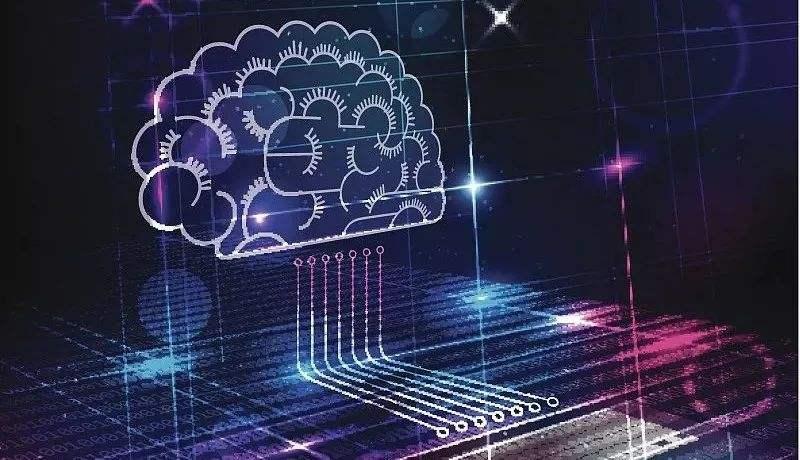 高市在就医期间接受了对手部病情的检查