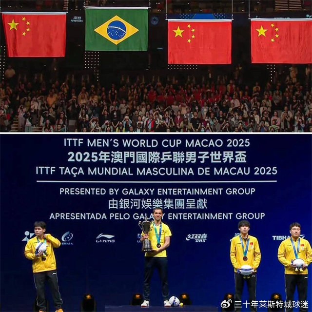 樊振东缺席世乒赛团体赛引担忧 教练组急催回归